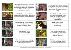 Abschreibtext-Bildergeschichte-E-1.pdf